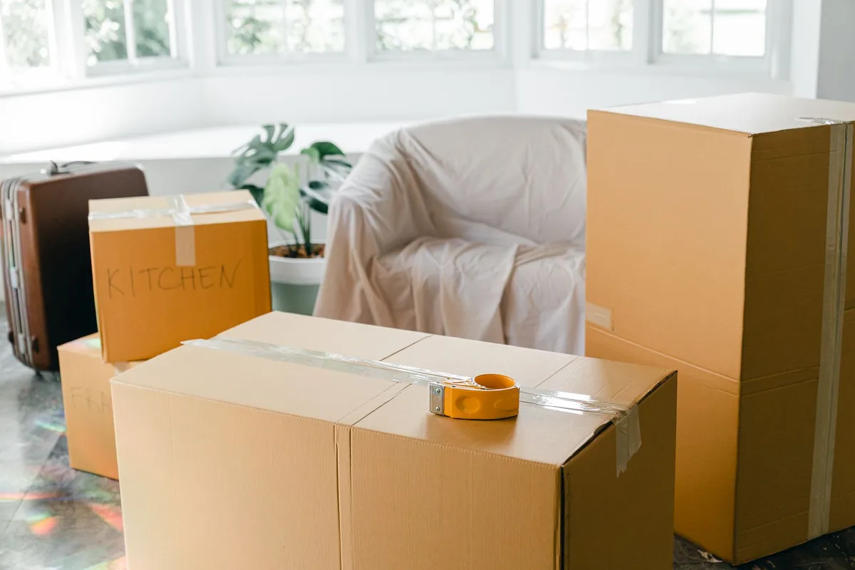 Hoarding Cleanup in Bardmoor, FL